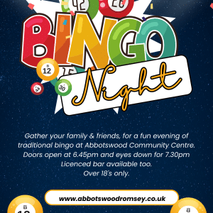 Navy and White Illustrative Bingo Night Flyer ()
